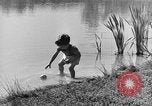 Image of Life in early cooperative community Greenbelt Maryland USA, 1939, second 6 stock footage video 65675053712
