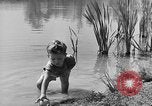 Image of Life in early cooperative community Greenbelt Maryland USA, 1939, second 7 stock footage video 65675053712