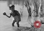 Image of Life in early cooperative community Greenbelt Maryland USA, 1939, second 8 stock footage video 65675053712
