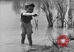 Image of Life in early cooperative community Greenbelt Maryland USA, 1939, second 9 stock footage video 65675053712