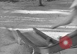 Image of Life in early cooperative community Greenbelt Maryland USA, 1939, second 14 stock footage video 65675053712