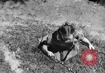 Image of Life in early cooperative community Greenbelt Maryland USA, 1939, second 38 stock footage video 65675053712