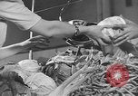 Immagine di Supermercato negozio di generi alimentari Greenbelt Maryland USA, 1939, secondo 15 filmato di repertorio 65675053715