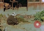 Image femmes japonaises Kyoto Japon, 1946, de la seconde 56 séquences d'archives historiques vidéo 65675053718