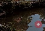 Standbild japanische Frauen Kyoto Japan, 1946, aus Sekunde 20 historischem Filmmaterial Videoclip 65675053728