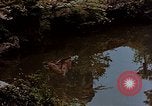 Standbild japanische Frauen Kyoto Japan, 1946, aus Sekunde 21 historischem Filmmaterial Videoclip 65675053728