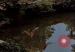Standbild japanische Frauen Kyoto Japan, 1946, aus Sekunde 22 historischem Filmmaterial Videoclip 65675053728