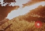 Immagine di Richard Nixon United States USA, 1968, secondo 11 filmato di repertorio 65675053731