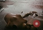 Immagine di Richard Nixon United States USA, 1968, secondo 24 filmato di repertorio 65675053732