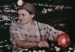 Image of Richard Nixon United States USA, 1968, second 43 stock footage video 65675053740