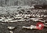 Image of Richard Nixon United States USA, 1968, second 16 stock footage video 65675053741