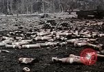 Image of Richard Nixon United States USA, 1968, second 32 stock footage video 65675053742
