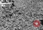 Immagine di Adolf Hitler parla degli austriaci al tempo di Anschluss Vienna Austria, 1938, secondo 56 filmato di repertorio 65675053786
