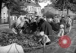 Image of Women pick up abandoned flowers London England United Kingdom, 1938, second 9 stock footage video 65675053799