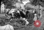 Image of Women pick up abandoned flowers London England United Kingdom, 1938, second 10 stock footage video 65675053799