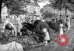 Image of Women pick up abandoned flowers London England United Kingdom, 1938, second 13 stock footage video 65675053799