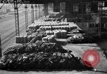 Image of French port France, 1939, second 29 stock footage video 65675053832