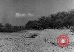 Image of French officer France, 1940, second 5 stock footage video 65675053834