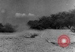 Image of French officer France, 1940, second 6 stock footage video 65675053834