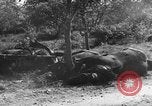 Image of French officer France, 1940, second 14 stock footage video 65675053834