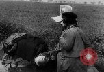 Immagine di Civili francese Francia, 1940, secondo 7 filmato di repertorio 65675053836
