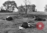 Image of bomb explosions Paris France, 1940, second 9 stock footage video 65675053837