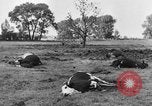 Image of bomb explosions Paris France, 1940, second 10 stock footage video 65675053837