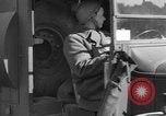 Image Corps expéditionnaire britannique blessés évacués Boulogne France, 1940, de la seconde 16 séquences d'archives historiques vidéo 65675053841