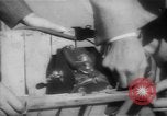 Image of basket of cycle United Kingdom, 1944, second 11 stock footage video 65675053876