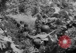Image of Allied Forces France, 1944, second 5 stock footage video 65675053886