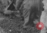 Image of German prisoners on D-Day near June Beach France, 1944, second 44 stock footage video 65675053888