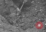 Image of German prisoners on D-Day near June Beach France, 1944, second 51 stock footage video 65675053888