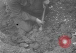 Image of German prisoners on D-Day near June Beach France, 1944, second 53 stock footage video 65675053888