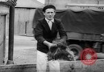 Image of French Women Traitors Cherbourg France, 1944, second 61 stock footage video 65675053889