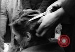 Image of French Women Traitors Cherbourg France, 1944, second 39 stock footage video 65675053890
