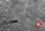 Standbild Bombenexplosionen SAINT MALO FRANKREICH, 1944, aus Sekunde 50 historischem Filmmaterial Videoclip 65675053895