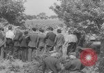 Immagine di Soldati statunitensi Saint Malo Francia, 1944, secondo 13 filmato di repertorio 65675053899
