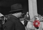 Standbild Reiten Akademie München Deutschland, 1947, aus Sekunde 59 historischem Filmmaterial Videoclip 65675053909