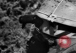 Image of German live fire training France, 1944, second 6 stock footage video 65675053928