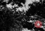 Image of German live fire training France, 1944, second 7 stock footage video 65675053928