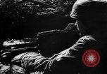 Image of German live fire training France, 1944, second 13 stock footage video 65675053928