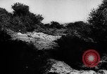 Image of German live fire training France, 1944, second 16 stock footage video 65675053928