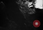 Image of German live fire training France, 1944, second 24 stock footage video 65675053928