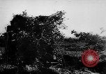 Image of German live fire training France, 1944, second 28 stock footage video 65675053928