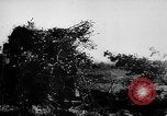 Image of German live fire training France, 1944, second 29 stock footage video 65675053928