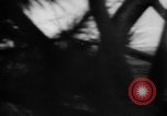 Image of German live fire training France, 1944, second 46 stock footage video 65675053928