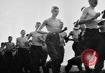 Image of International Youth Camp Germany, 1943, second 55 stock footage video 65675053932