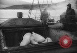Immagine di In Alaska Railroad Yukon Canada, 1942, secondo 14 filmato di repertorio 65675053955