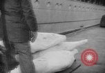 Immagine di In Alaska Railroad Yukon Canada, 1942, secondo 21 filmato di repertorio 65675053955