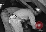 Standbild SS Cape Lookout Beaumont Texas USA, 1941, aus Sekunde 17 historischem Filmmaterial Videoclip 65675053962